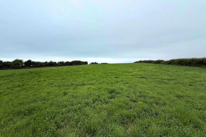 15.3 acres of Farmland for sale in Allonby