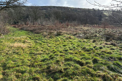 11.4 acres of Agricultural Land for sale in Llanfair Clydogau