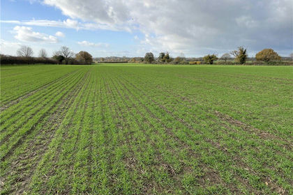 16.2 acres of Agricultural Land for sale in Healaugh