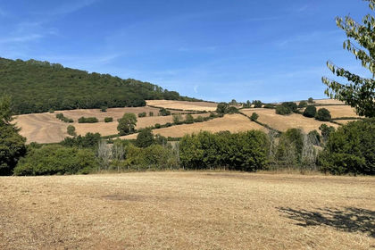 For sale in Clun