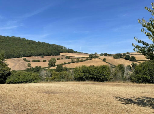 Pasture for sale in Clun