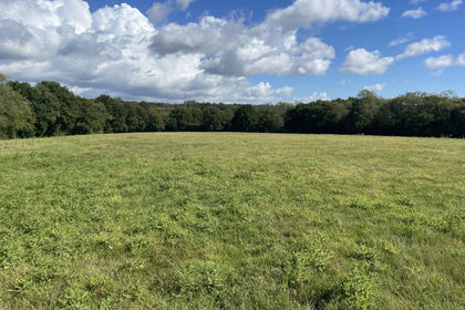 2.8 acres of Pasture for sale in