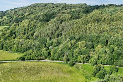 Woodland for sale in Monmouth