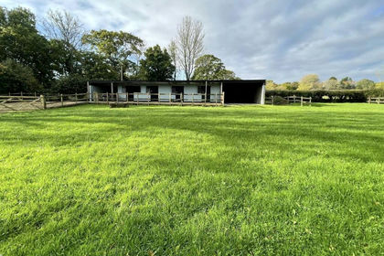1.5 acres of Stable for sale in Sway