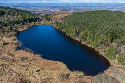59.3 acres of Woodland for sale in Perth and Kinross-shire