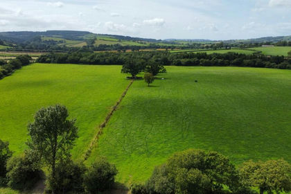 55 acres of Agricultural Land for sale in St. Clears