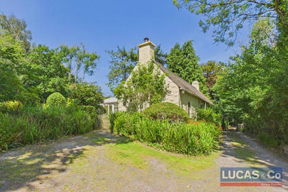 1.5 acres of Cottage for sale in Pentir