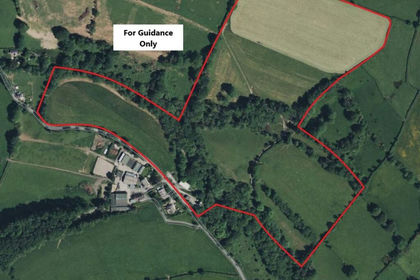 35 acres of Agricultural Land for sale in Henllanfallteg
