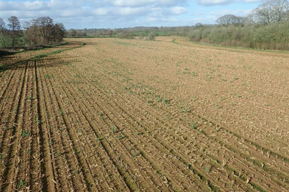 21.1 acres of Agricultural Land for sale in Much Cowarne