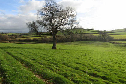 7.6 acres of Agricultural Land for sale in Ipplepen