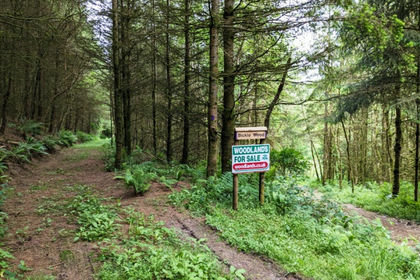 2.5 acres of Woodland for sale in