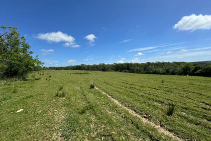 12.3 acres of Grazing Land for sale in Martletwy