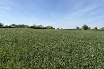 39.1 acres of Agricultural Land for sale in Ashill