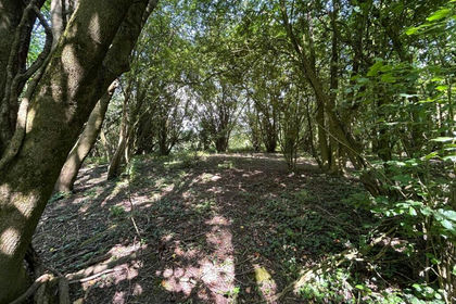 Amenity Land for sale in West Crewkerne
