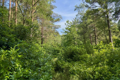 2.8 acres of House with Land for sale in Storrington and Sullington