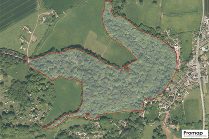 37.3 acres of Woodland for sale in Bridgwater