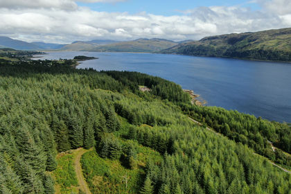 261.1 acres of Woodland for sale in Inverness, Skye and West Ross-shire