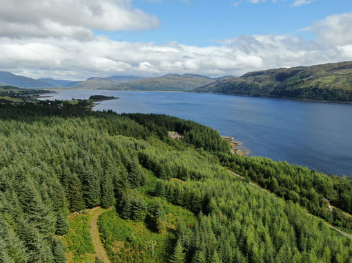 261.1 acres of Woodland for sale in Inverness, Skye and West Ross-shire