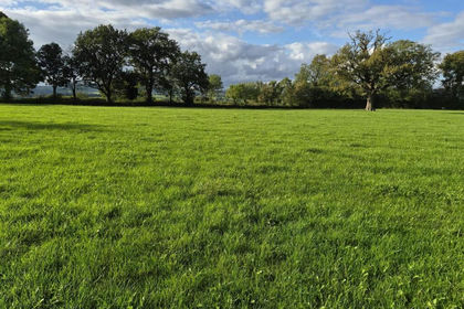 5.7 acres of Farmland for sale in Snelston