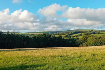14 acres of Building Plot for sale in North Molton