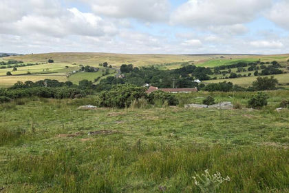 6.1 acres of Agricultural Land for sale in Commondale