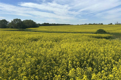 61.1 acres of Farm for sale in Ilton
