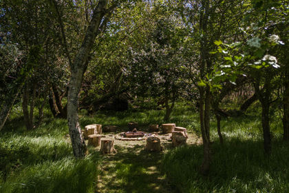 10 acres of House with Land for sale in Ellingham, Harbridge and Ibsley