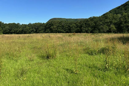 9.4 acres of Agricultural Land for sale in Cilycwm