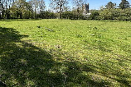 Pasture for sale in Broadhembury