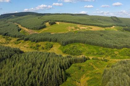 1818.2 acres of Timberland for sale in Dumfriesshire, Clydesdale and Tweeddale