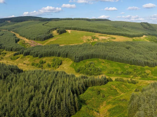 1818.2 acres of Timberland for sale in Dumfriesshire, Clydesdale and Tweeddale