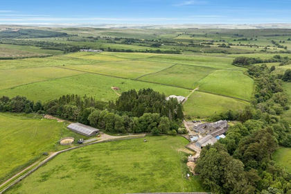 291.8 acres of Farm for sale in Wark