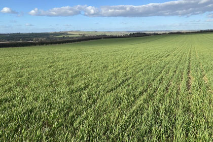 30 acres of Arable Land for sale in Shipton-under-Wychwood