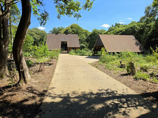 28 acres of House with Land for sale in Rackheath