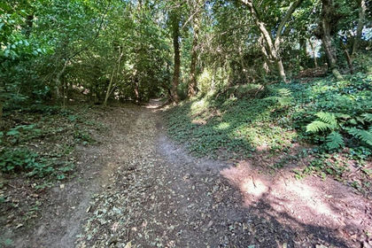 Redevelopment Land for sale in Bournemouth West