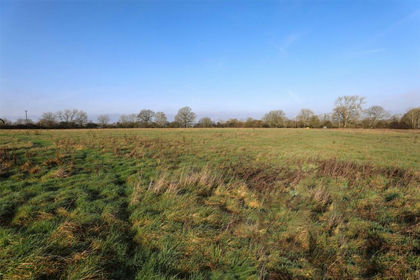 Agricultural Land for sale in Newdigate