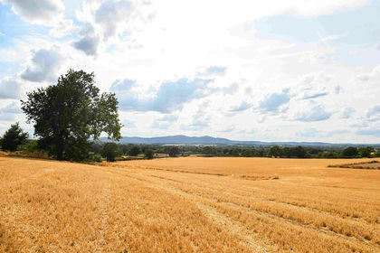 33 acres of For sale in Norton Juxta Kempsey