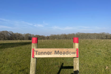 4 acres of Recreational Land for sale in
