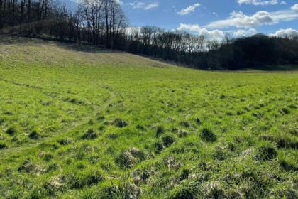 Land for sale in Orpington