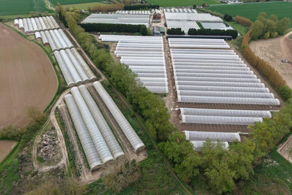 34.6 acres of Farm for sale in Walsoken