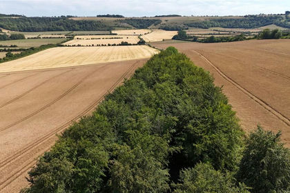 356.8 acres of Property with Outbuildings for sale in Alvediston