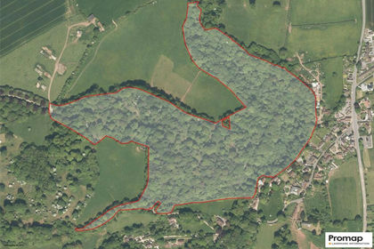 37.3 acres of Undeveloped Land for sale in Holford