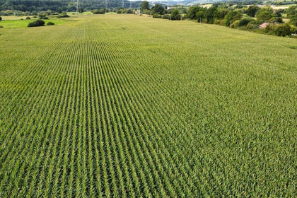 46 acres of Agricultural Land for sale in Stoke Canon
