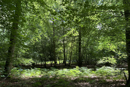 2.7 acres of For sale in Oxfordshire