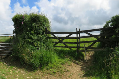 Vacant Land for sale in Woolfardisworthy