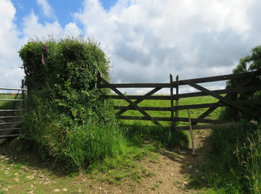 Vacant Land for sale in Woolfardisworthy