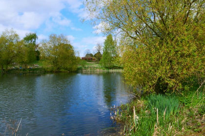 11 acres of Development Land for sale in Leeds East