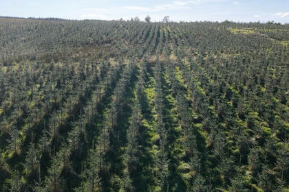 244.4 acres of Agricultural Land for sale in Ayr, Carrick and Cumnock