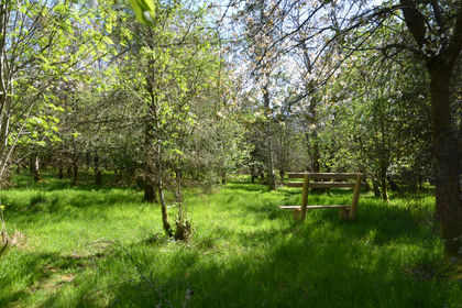 6.8 acres of Woodland for sale in