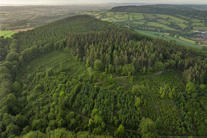 163.1 acres of Woodland for sale in Devon